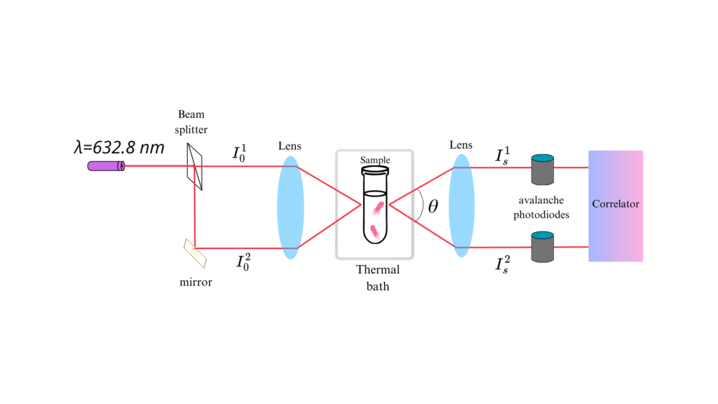 Esquema del arreglo experimental 3DDLS.
